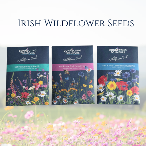 Irish Wildflower Seed Pack 3