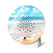 sounds of the ocean sensor music box 